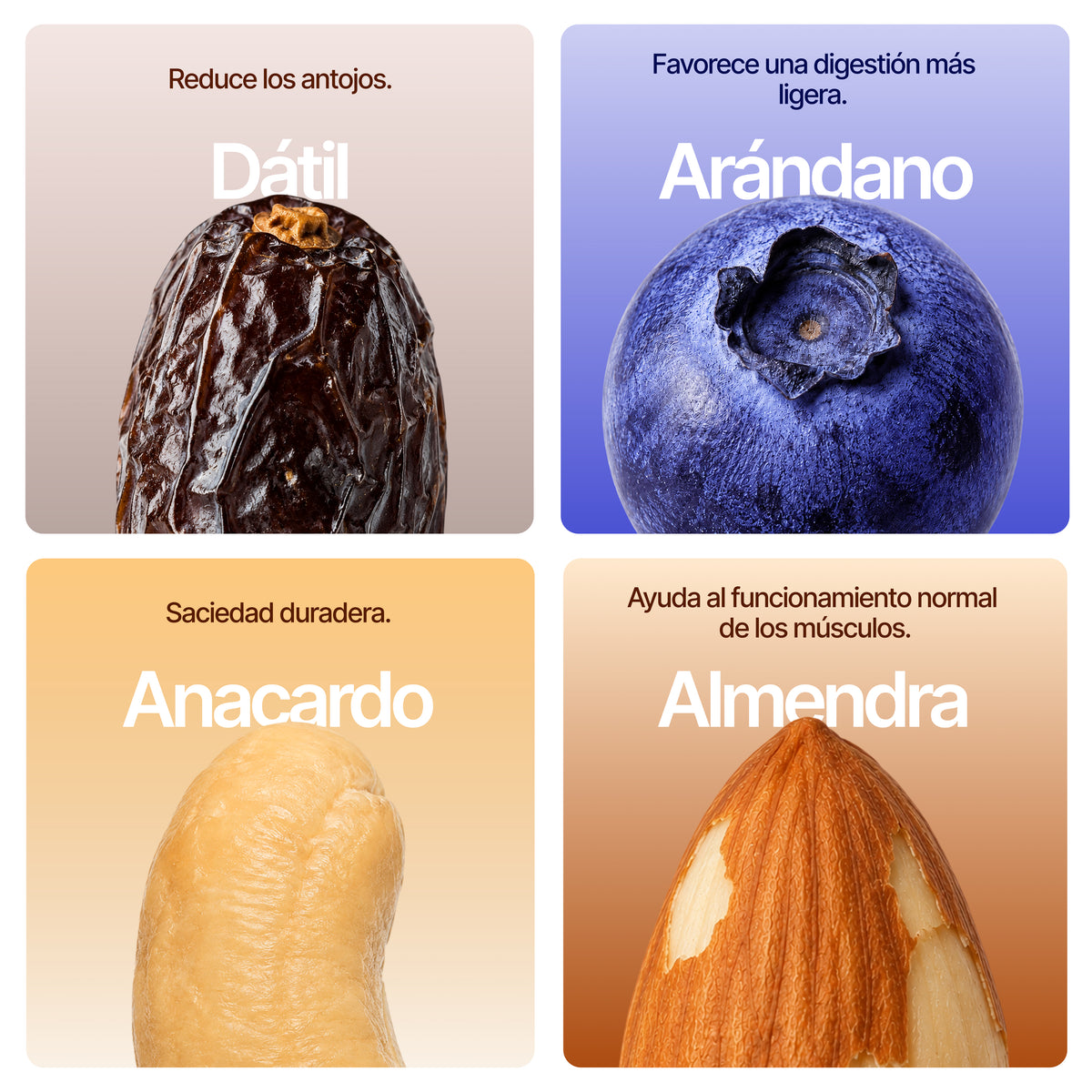 15 box arándanos bars