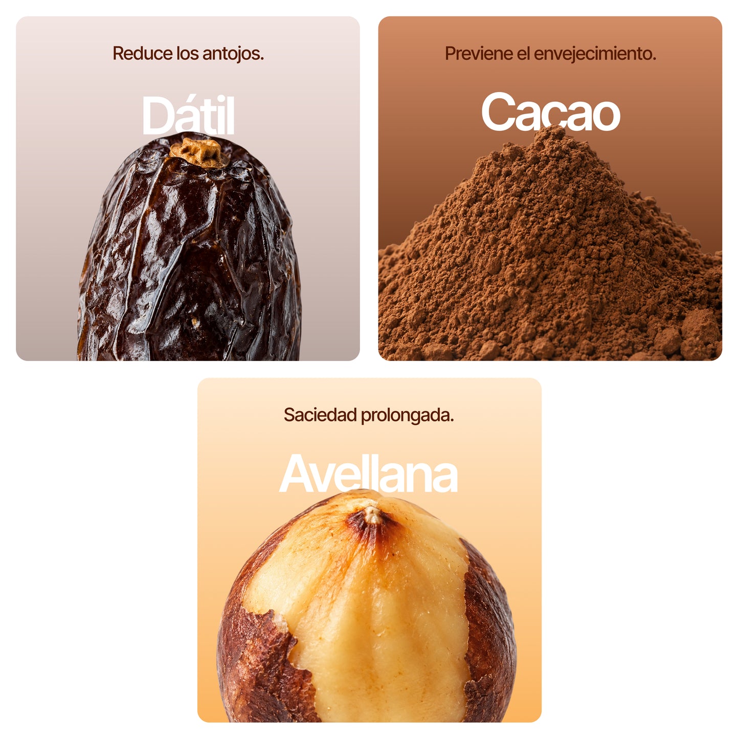 15 box cacao bars